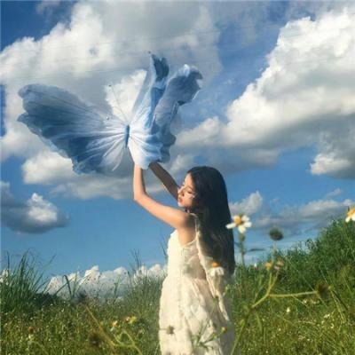 两万种蜜蜂 20.000